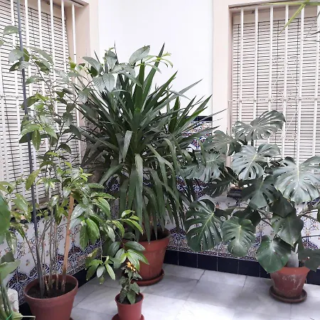 Atico Soleado Apartment Cadiz Exterior photo