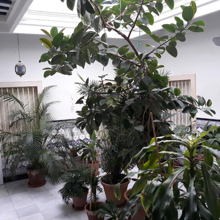 Appartement Atico Soleado *