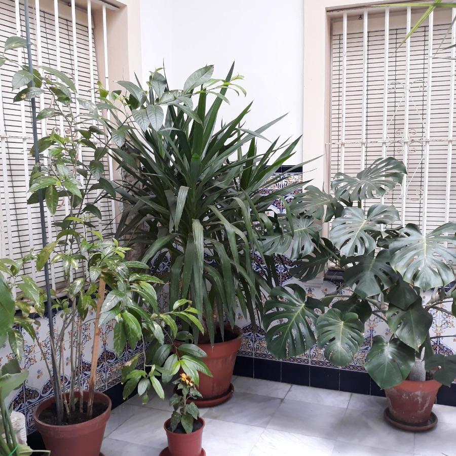 Atico Soleado Apartment