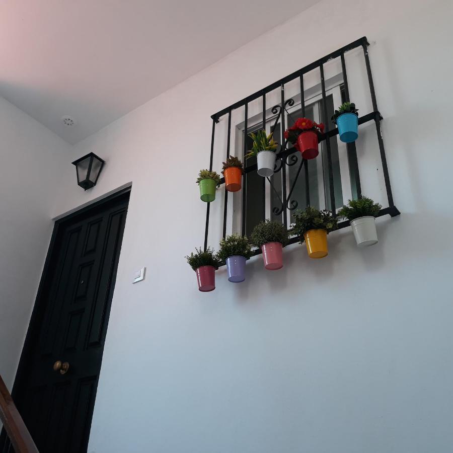 Apartment Atico Soleado